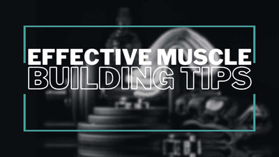 Building Muscle: Essential Tips for Effective Strength Training